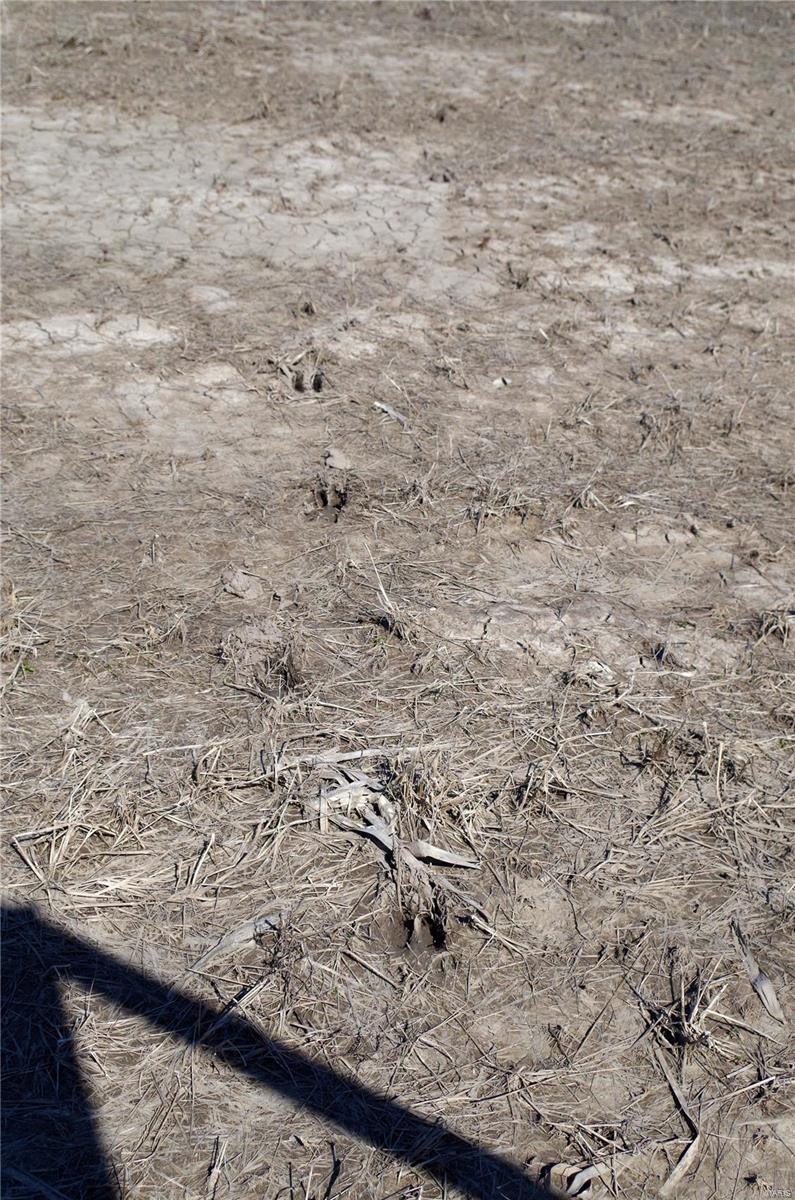 0 Dalbow Road O'Fallon, MO 63366 - Photo 32 of 47