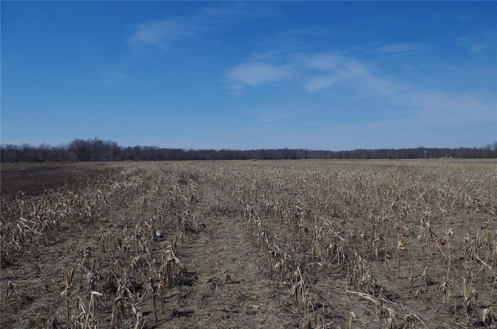 0 Dalbow Road O'Fallon, MO 63366 - Photo 33 of 47