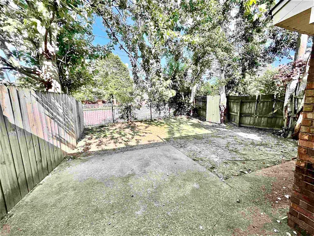 a view of a yard with plants and trees