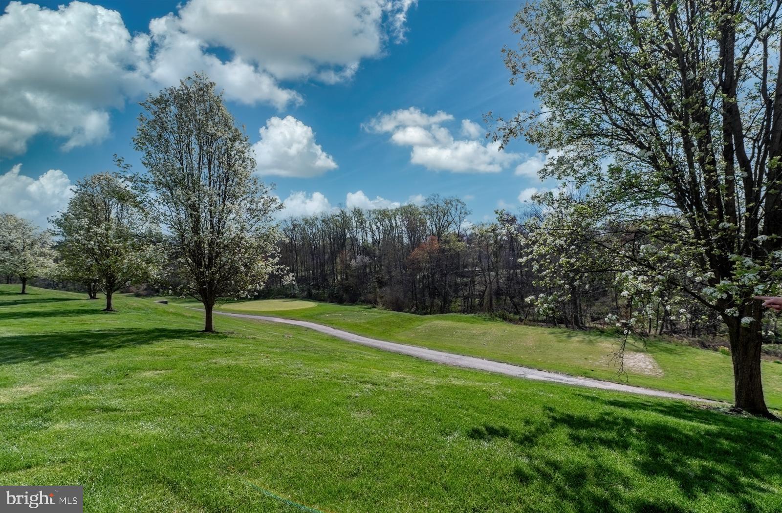 305 Brandon Road Norristown, PA 19403 - Photo 24 of 40 View From Patio