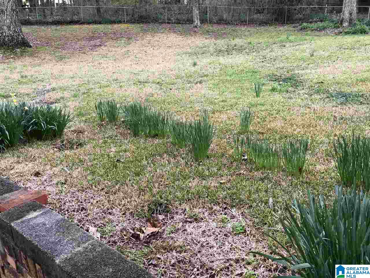 7125 Rowan Road Leeds, AL 35094 - Photo 19 of 19