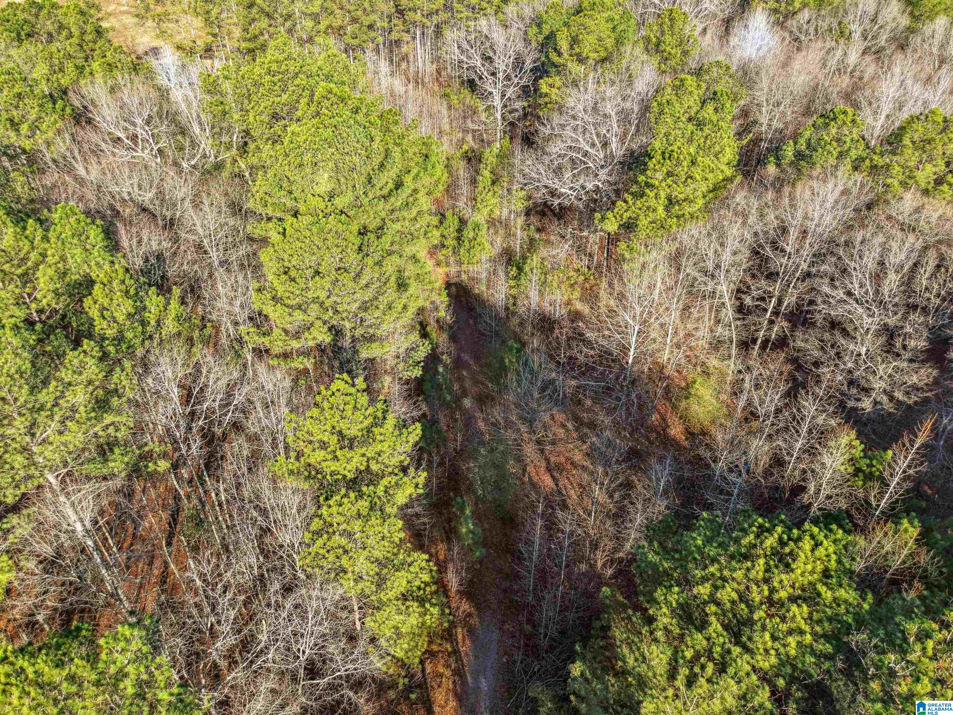 0 Branch Cove, Unit PHASE 2 Odenville, AL 35120 - Photo 28 of 32