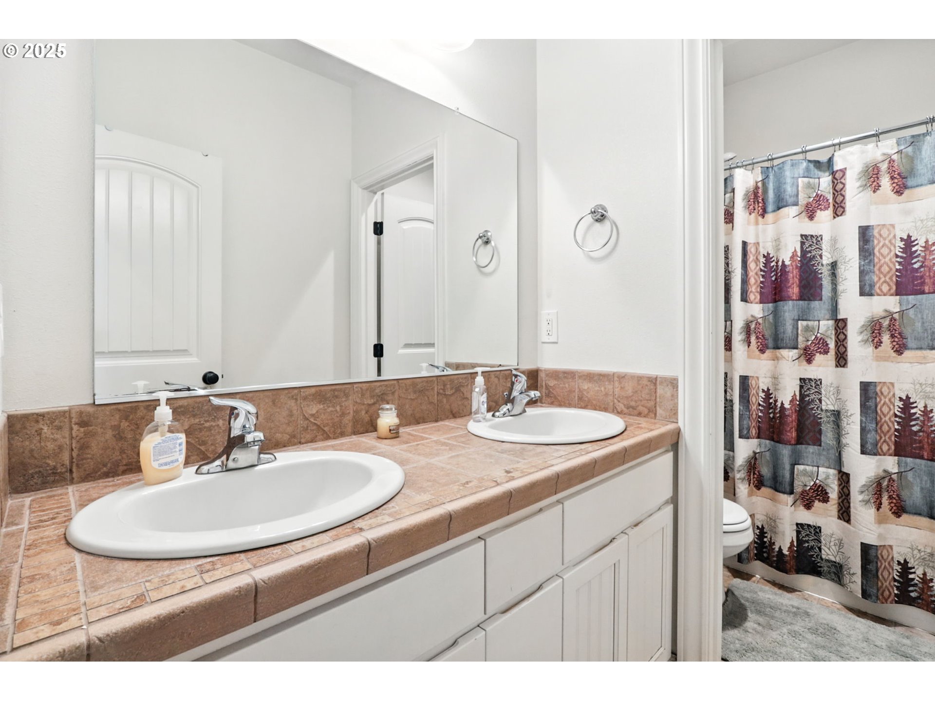 207 Finneys Avenue Molalla, OR 97038 - Photo 12 of 24 a bathroom with a sink and a mirror