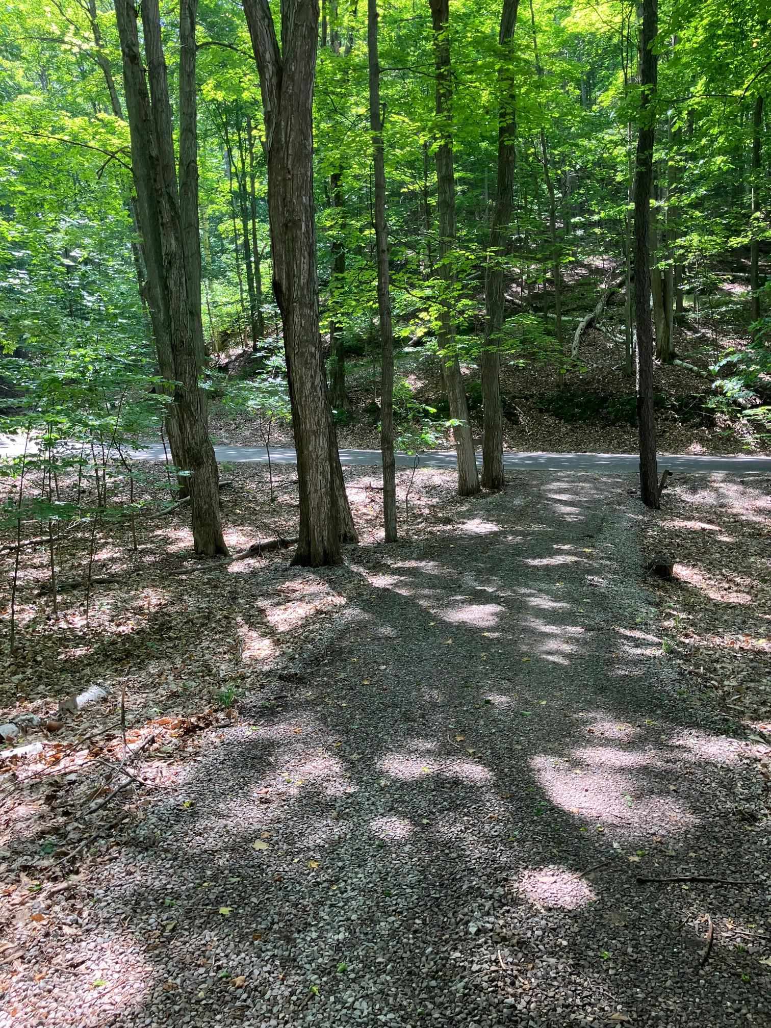 Lot 4 Spring Valley Road Beulah, MI 49617 - Photo 36 of 41
