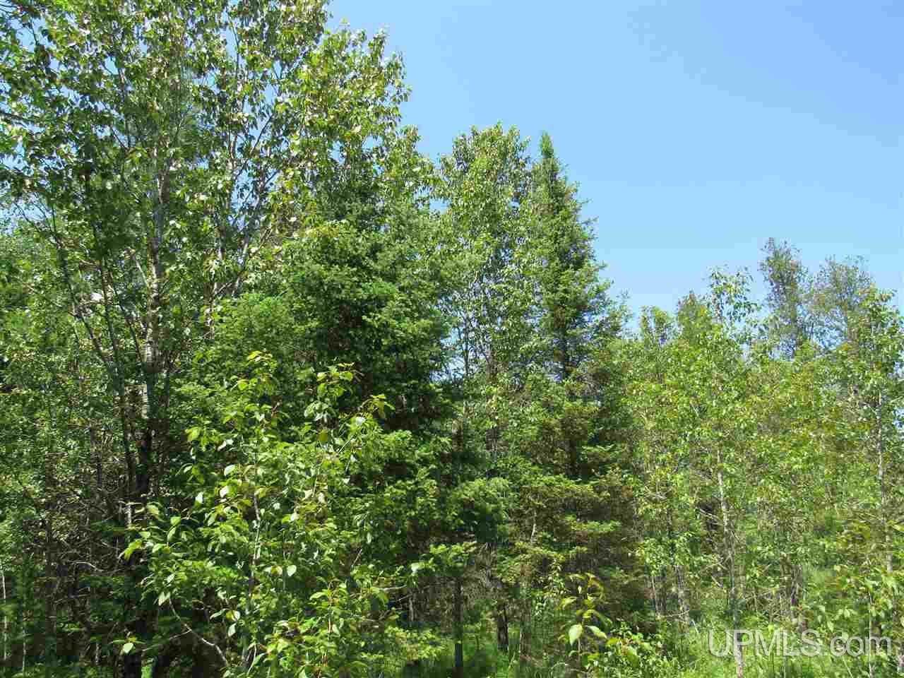 W2120 Cazzola Road Vulcan, MI 49892 - Photo 52 of 60