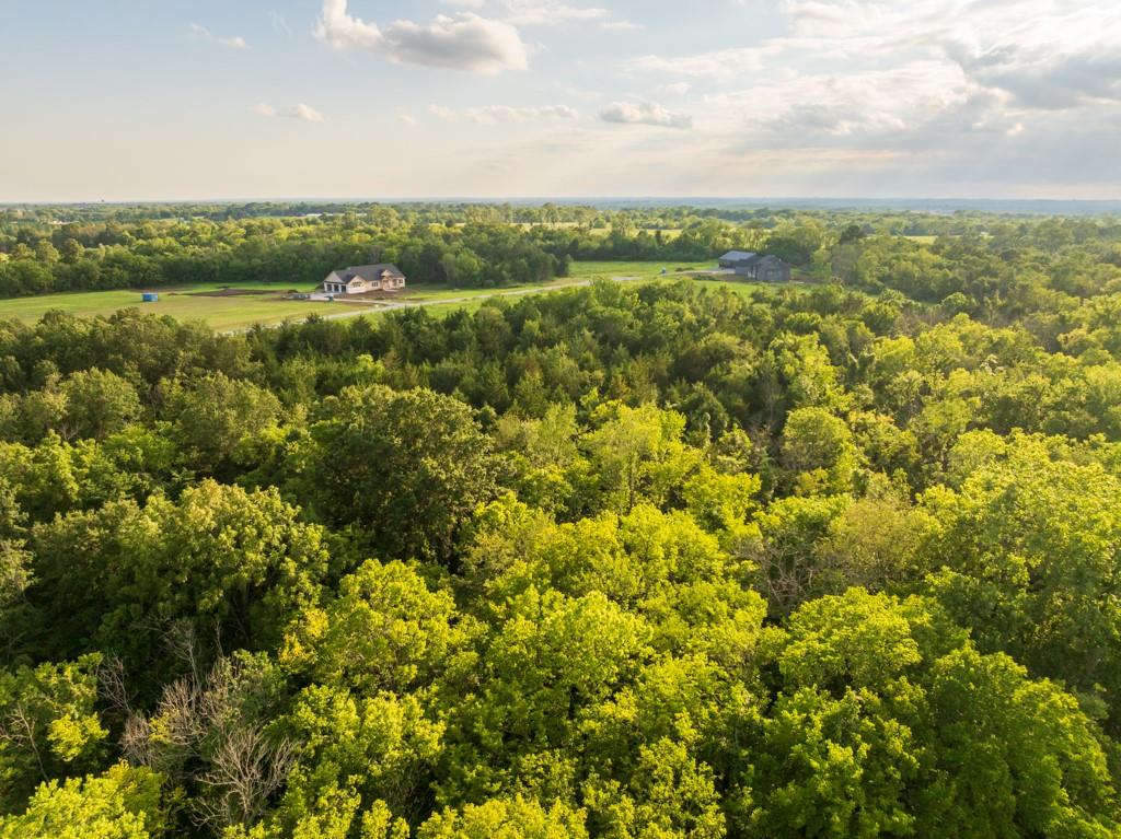 Lot 5 Timber Ridge Drive Peculiar, MO 64078 - Photo 6 of 27 Gallery Image 6