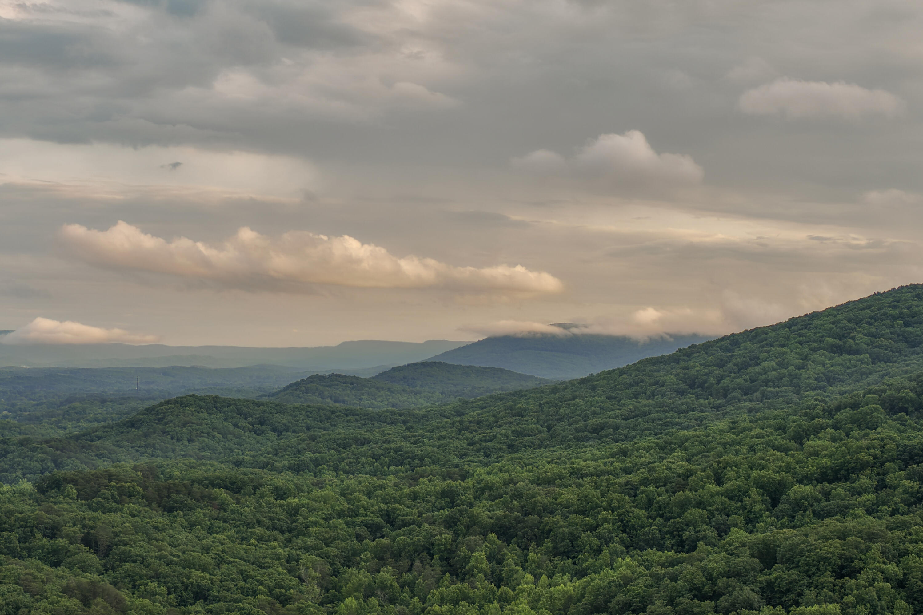 32 Lantern Cove Road Chickamauga, GA 30707 - Photo 88 of 105 LanternDrone-14
