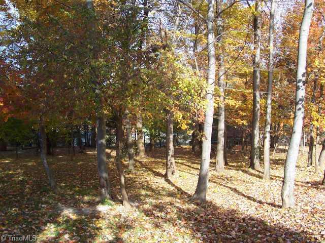 152 Charles Road King, NC 27021 - Photo 4 of 9 Other. BEAUTIFUL BACKYARD WITH LOTS OF MATURE TREES