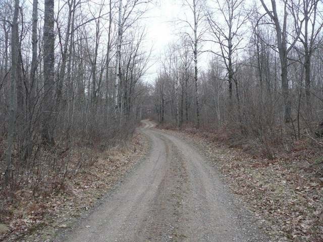 4704 Currie Lake Road Harshaw, WI 54529 - Photo 13 of 13 Gallery Image 13