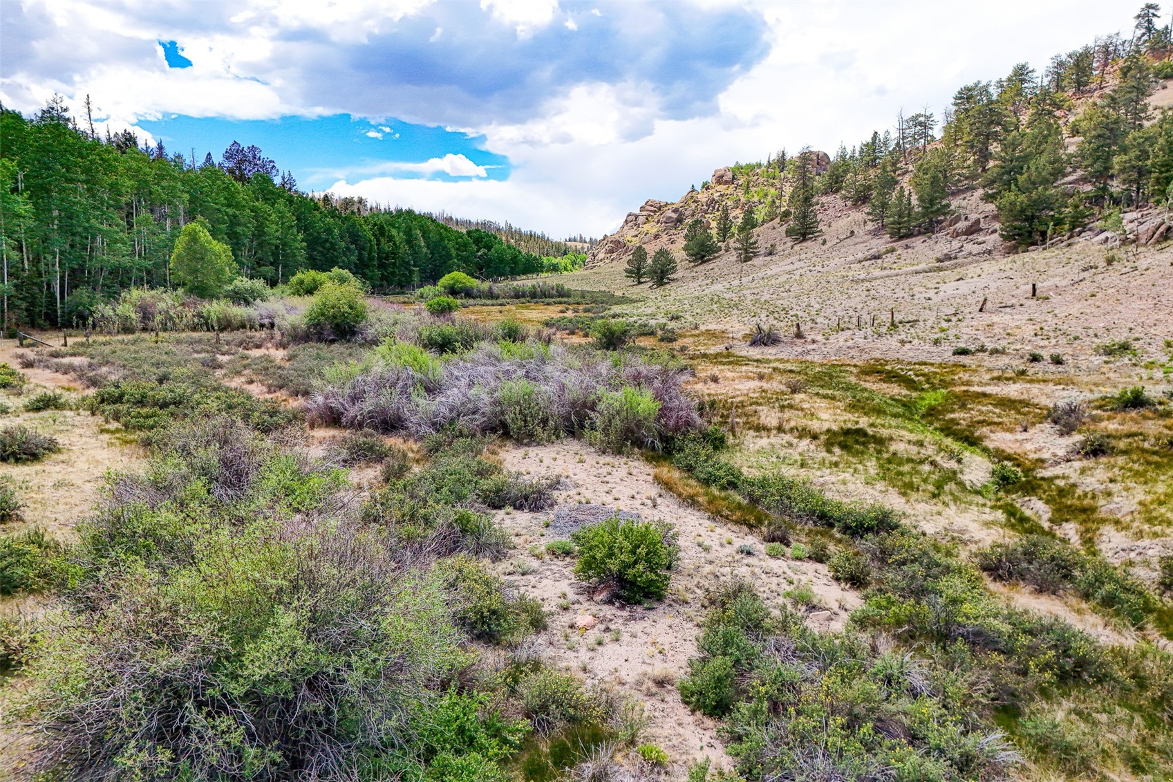 1111 Latigo Loop Hartsel, CO 80449 - Photo 2 of 20