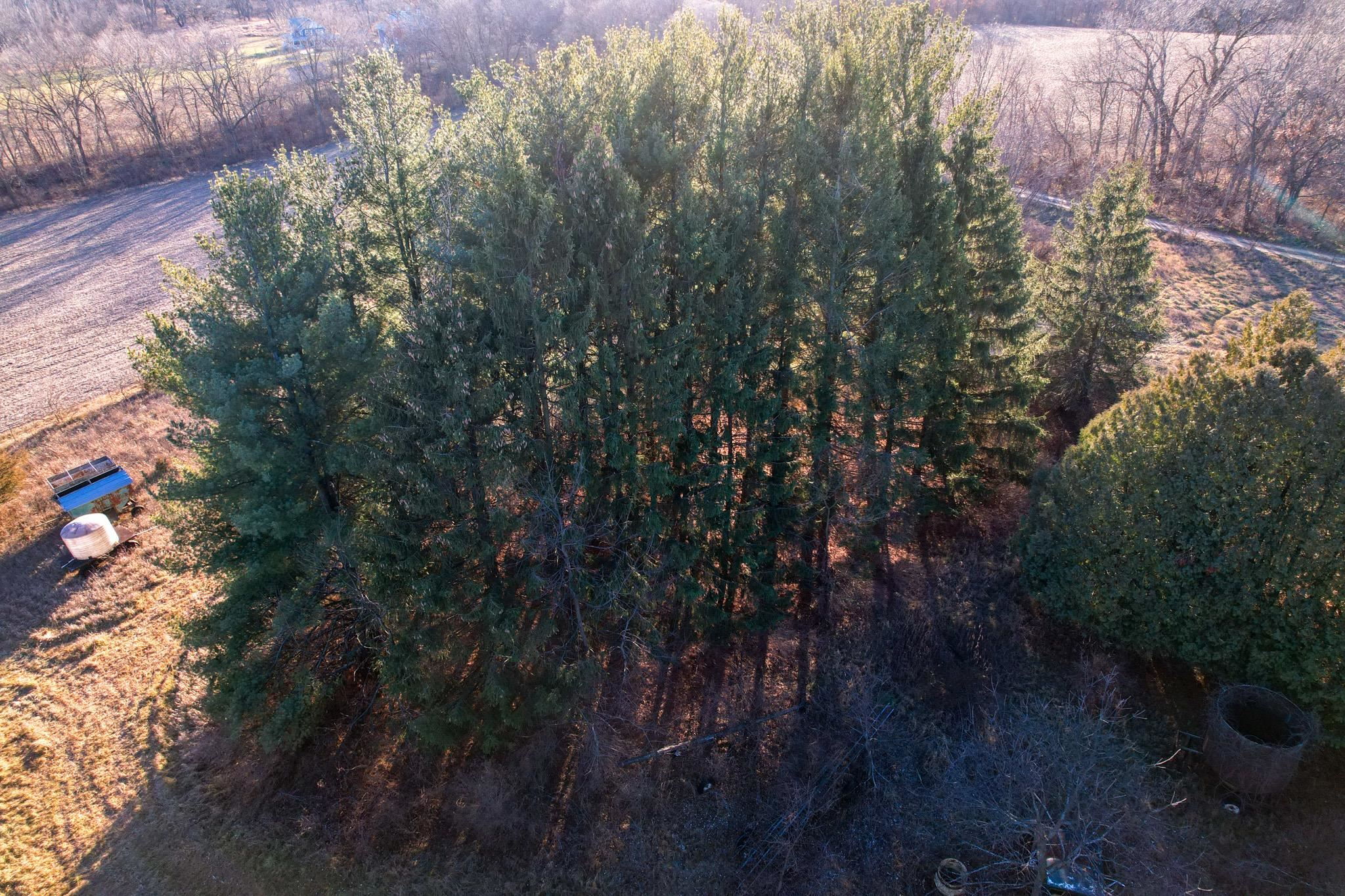 0 Moody Road Rockton, IL 61072 - Photo 21 of 40 a view of a forest