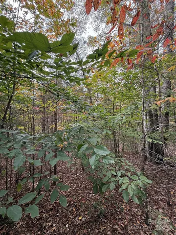 a view of outdoor space and a yard