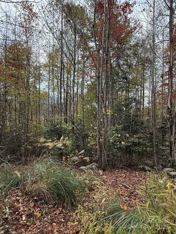 a view of backyard with green space