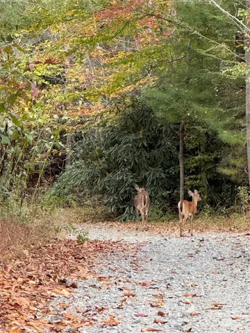 a view of a book shelf