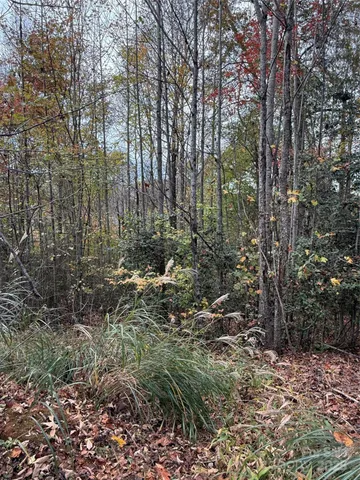 a view of outdoor space with trees