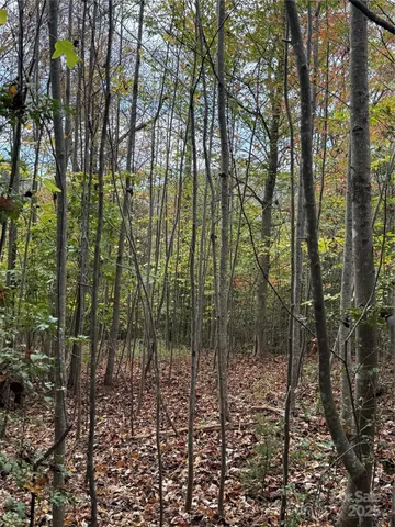 a view of outdoor space and garden