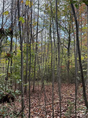 a view of outdoor space and garden