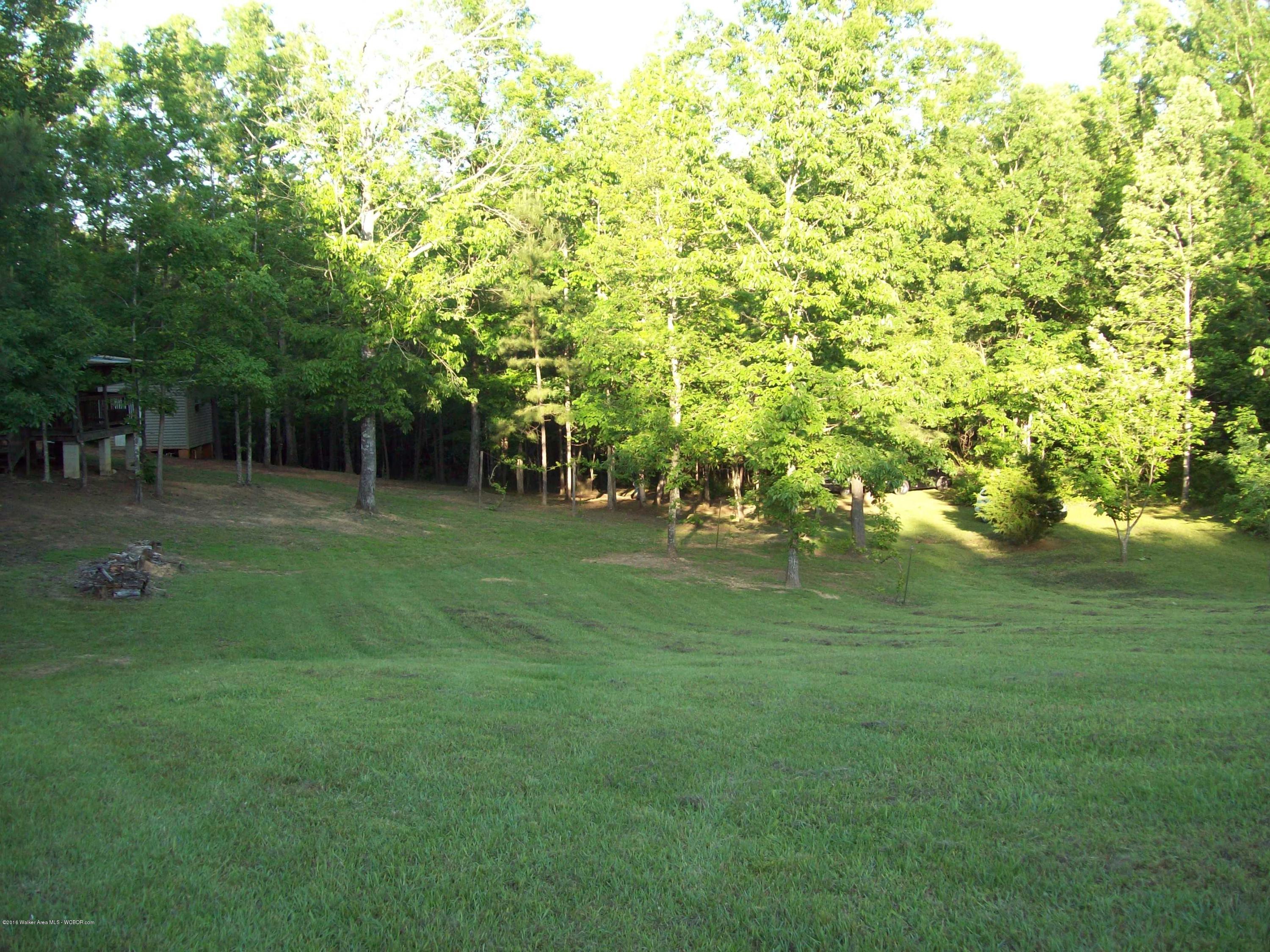 1844 Bethel Road Oakman, AL 35579 - Photo 5 of 17 Gallery Image 5