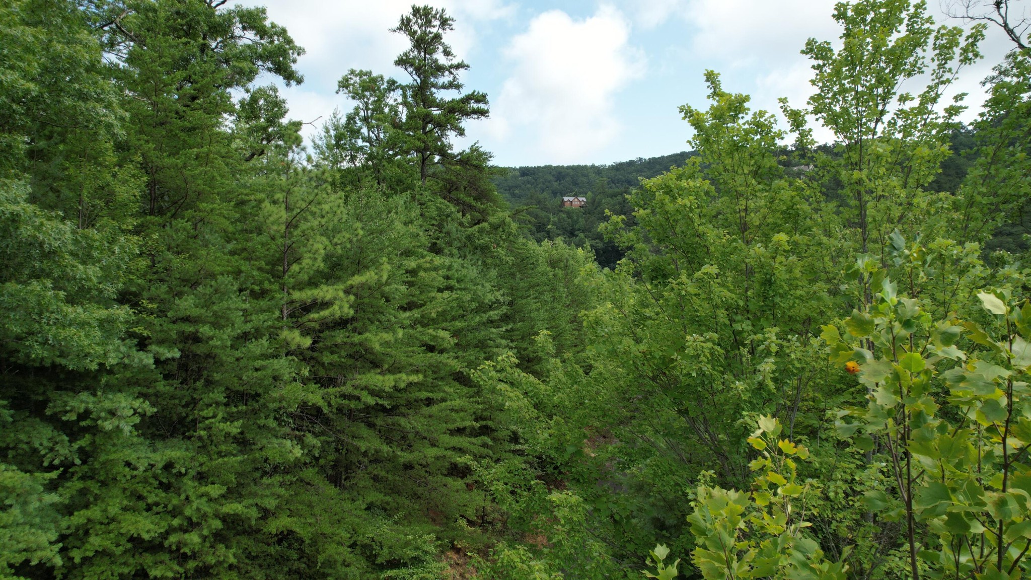 98 Black Powder Lane Sevierville, TN 37862 - Photo 17 of 30