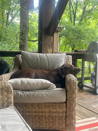 $459,000 | 1 Rich Bark Lane, Van Buren, MO 63965