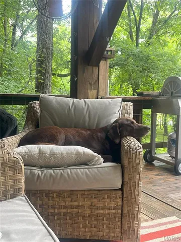 $459,000 | 1 Rich Bark Lane, Van Buren, MO 63965