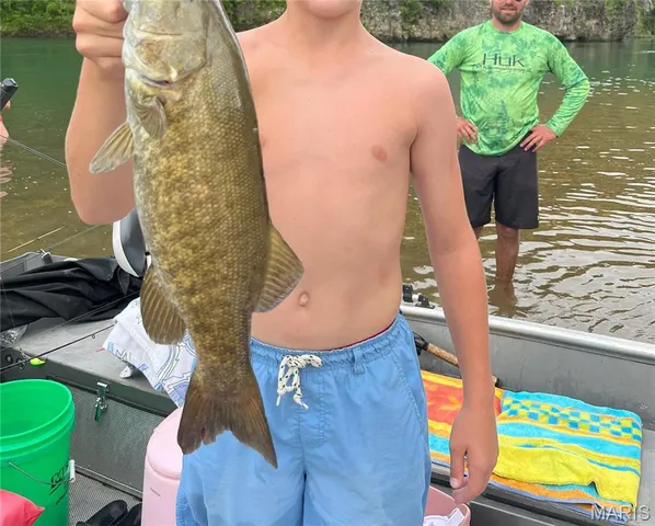 $459,000 | 1 Rich Bark Lane, Van Buren, MO 63965