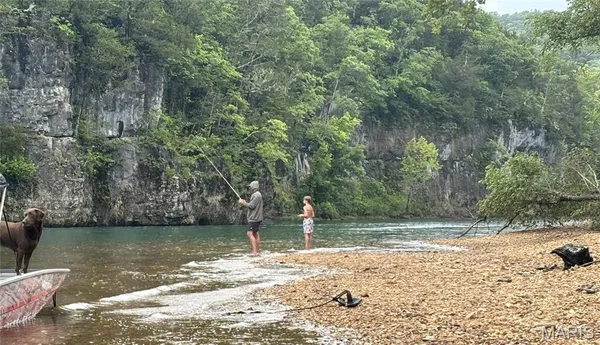 $459,000 | 1 Rich Bark Lane, Van Buren, MO 63965