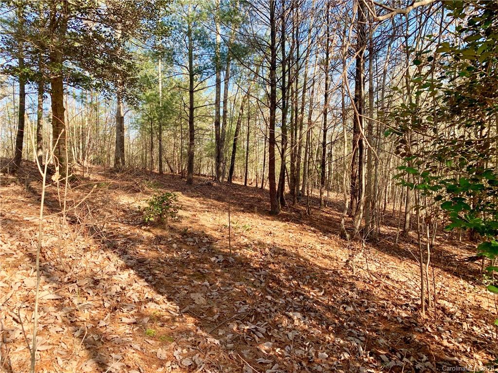 0 Low Country Road Lenoir, NC 28645 - Photo 2 of 28 Gallery Image 2