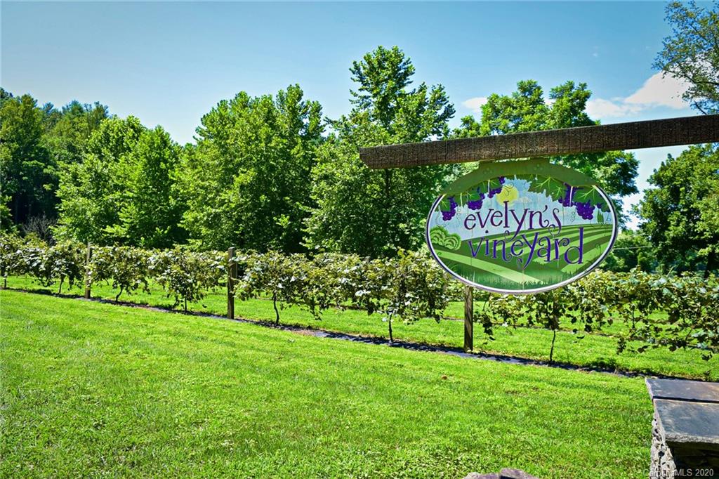 0 Low Country Road Lenoir, NC 28645 - Photo 16 of 28 Gallery Image 16