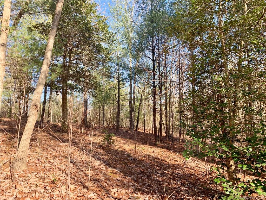 0 Low Country Road Lenoir, NC 28645 - Photo 3 of 28 Gallery Image 3