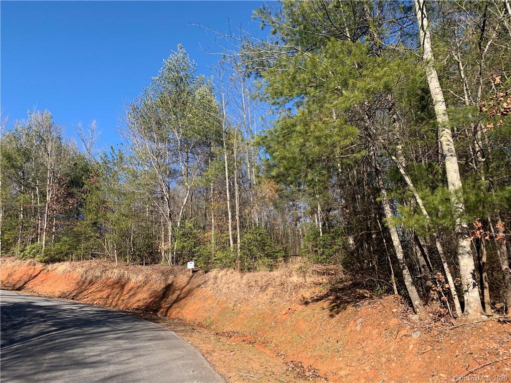 0 Low Country Road Lenoir, NC 28645 - Photo 4 of 28 Gallery Image 4
