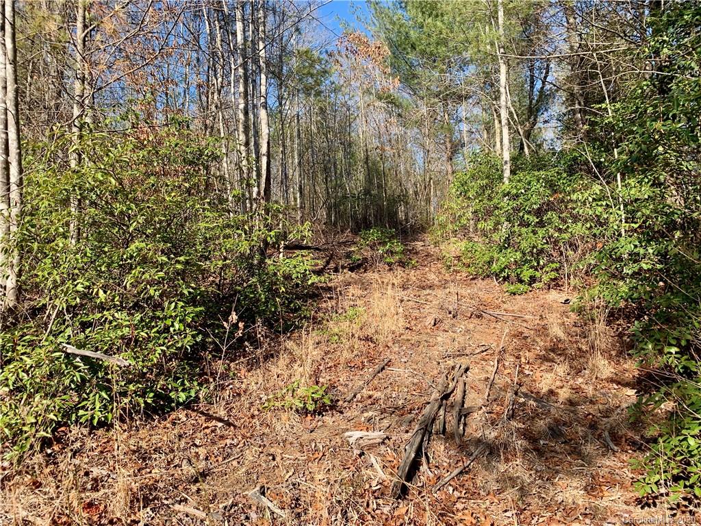0 Low Country Road Lenoir, NC 28645 - Photo 5 of 28 Gallery Image 5