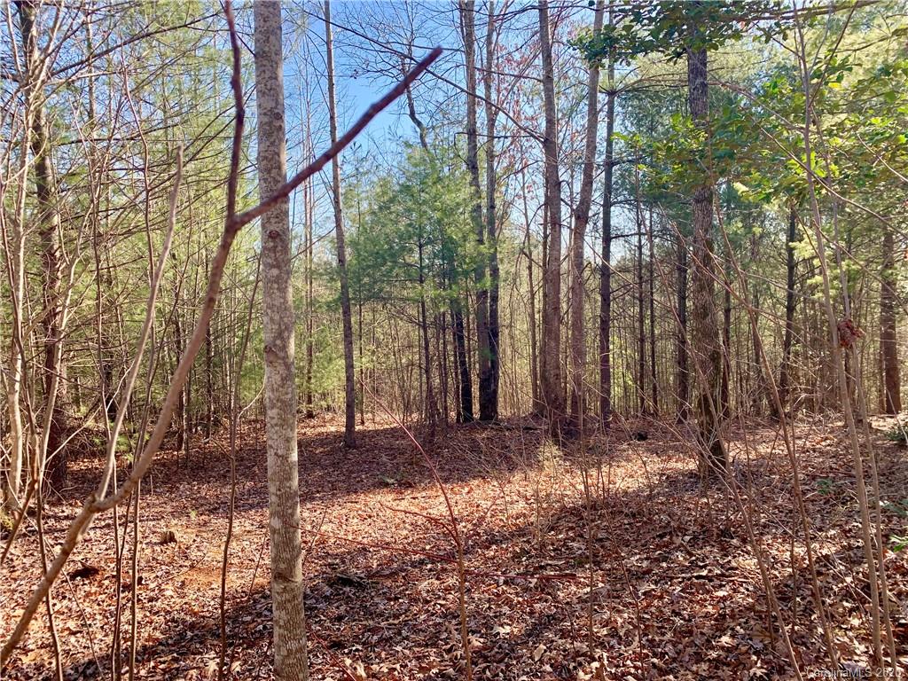 0 Low Country Road Lenoir, NC 28645 - Photo 6 of 28 Gallery Image 6