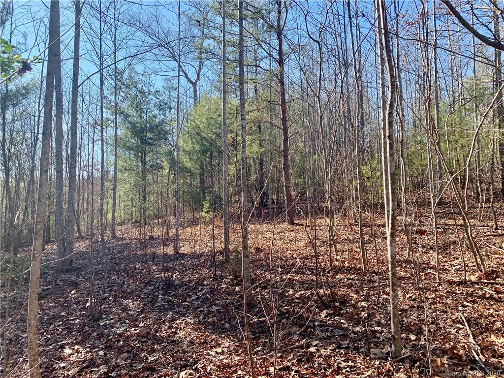 0 Low Country Road Lenoir, NC 28645 - Photo 8 of 28 Gallery Image 8