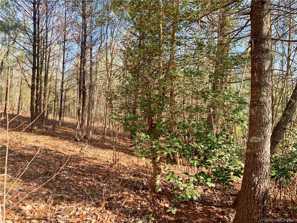 0 Low Country Road Lenoir, NC 28645 - Photo 9 of 28 Gallery Image 9