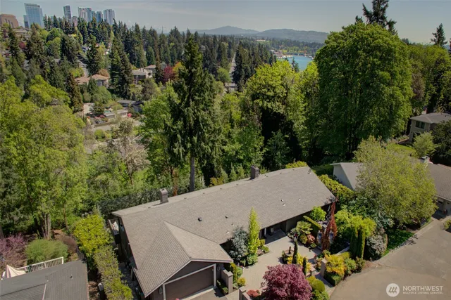 a view of a garden with plants