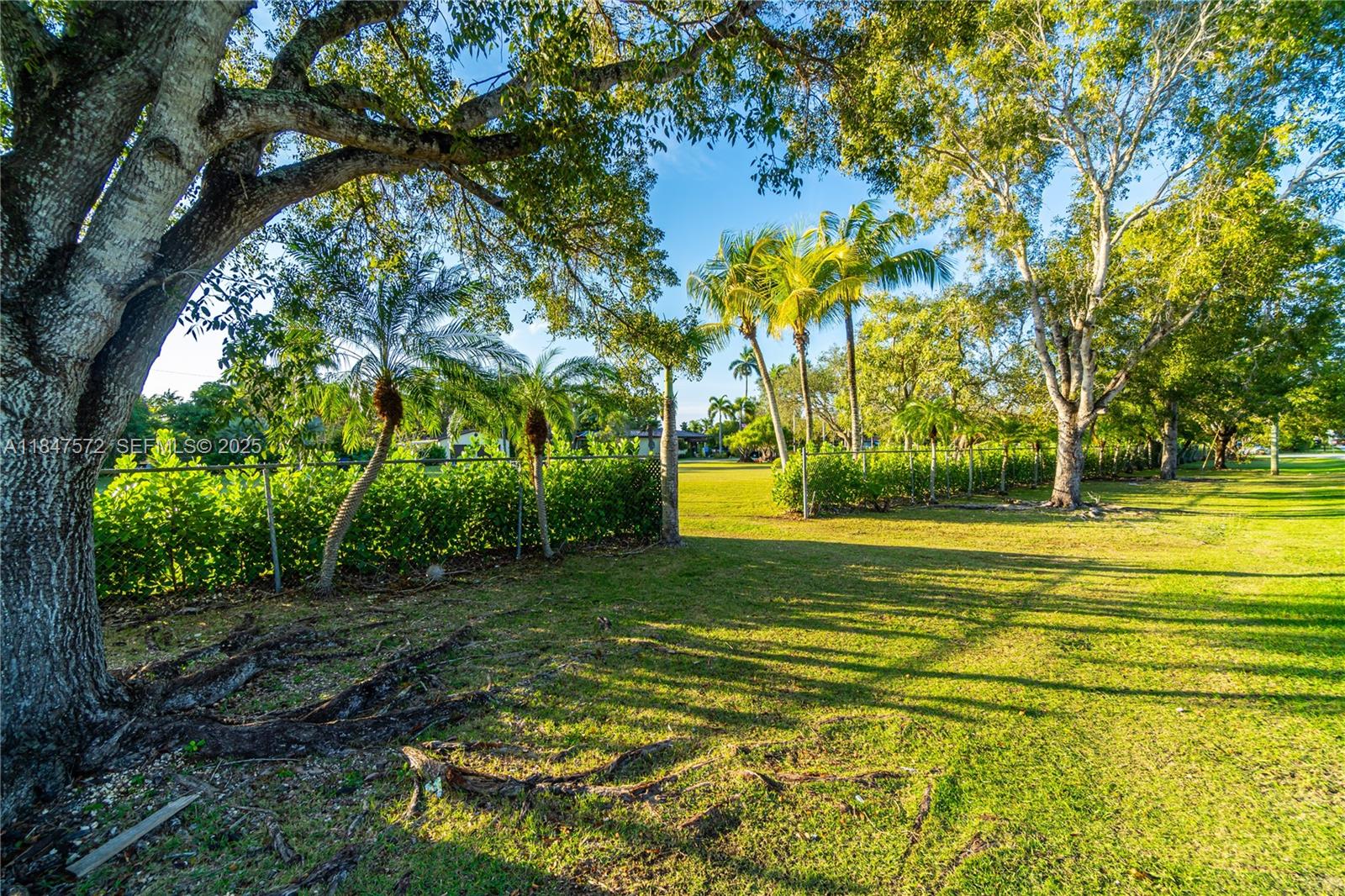 18200 Southwest 296th Street Homestead, FL 33030 - Photo 44 of 55 a view of yard with swimming pool and green space