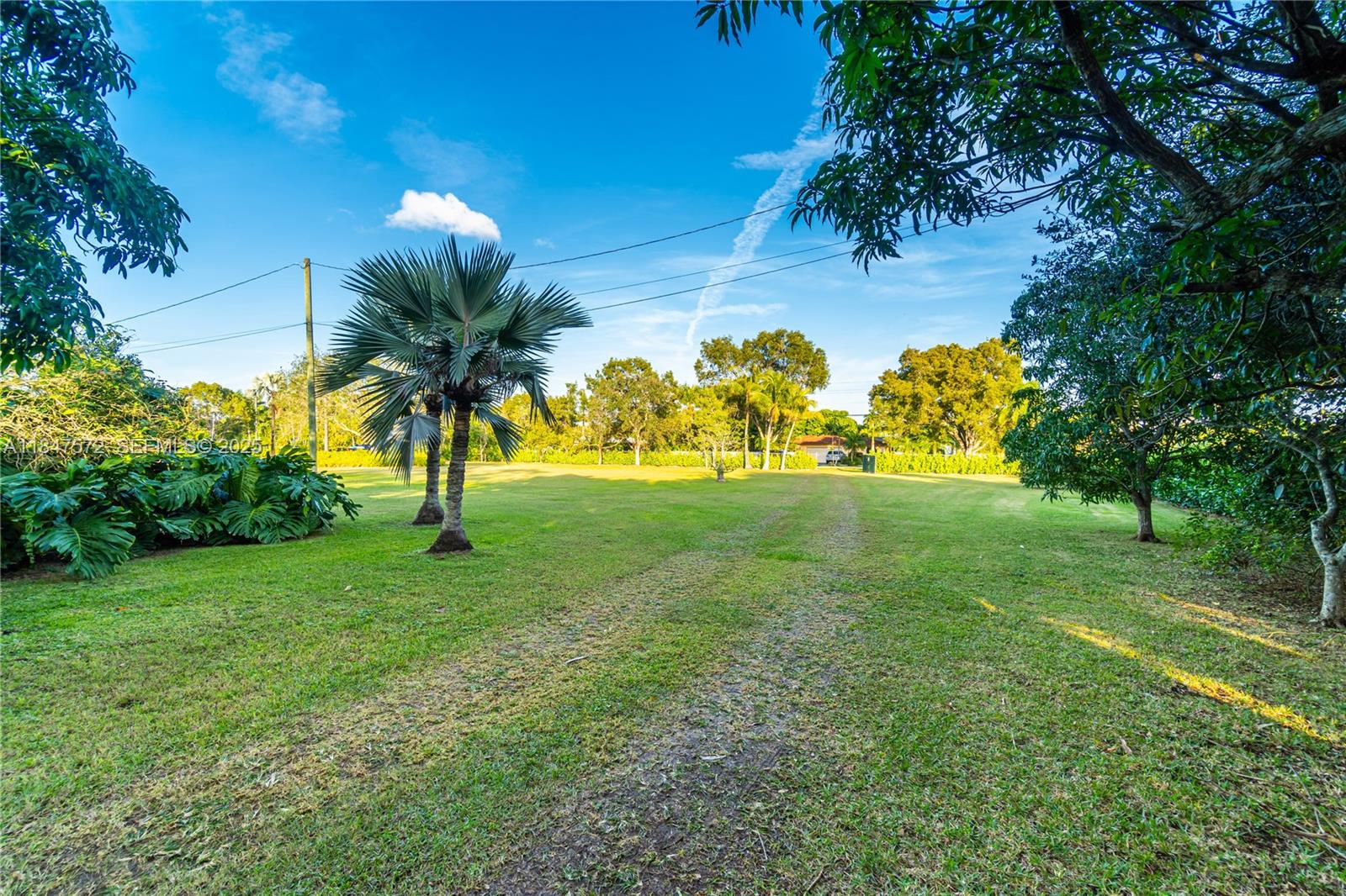 18200 Southwest 296th Street Homestead, FL 33030 - Photo 46 of 55 a view of backyard with green space