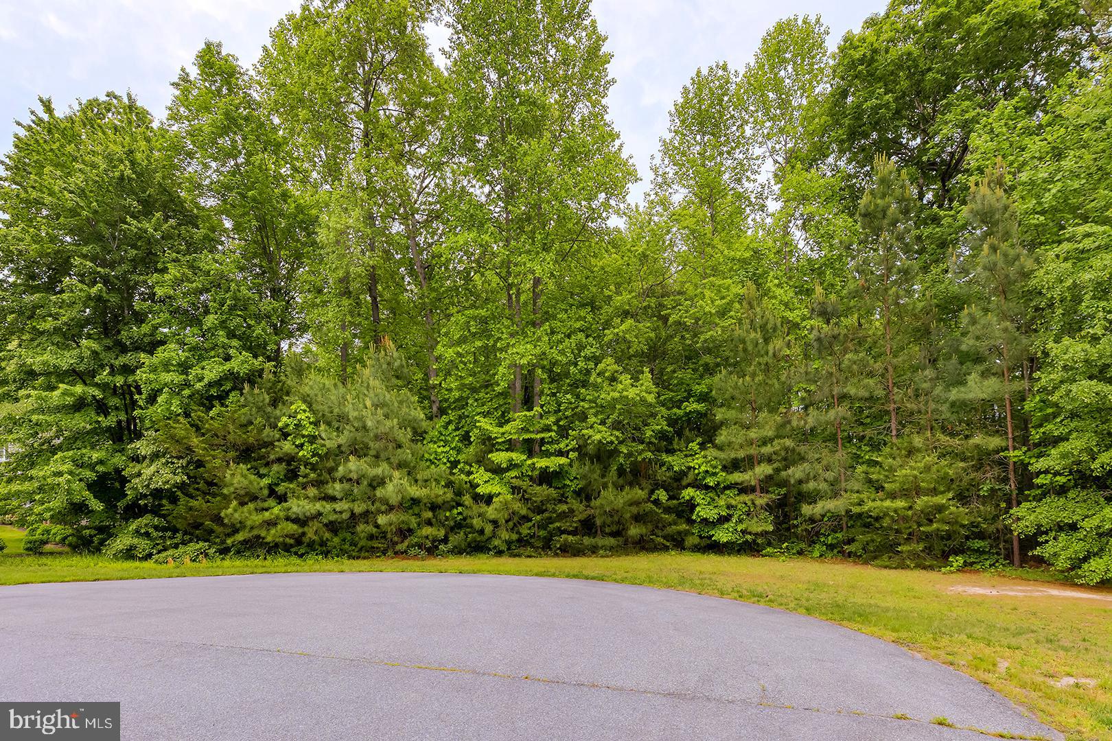 21883 Spring Forest Way Milton, DE 19968 - Photo 5 of 19 Gallery Image 5