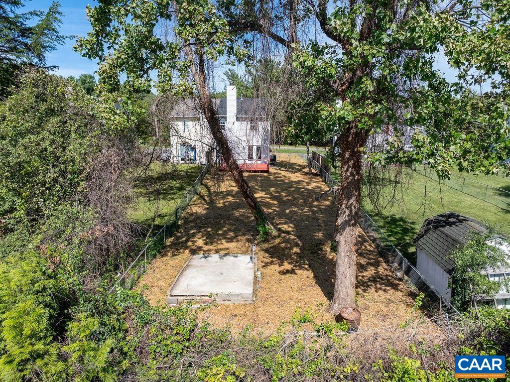 2087 Commonwealth Drive Charlottesville, VA 22901 - Photo 39 of 44 a view of a tree in a yard