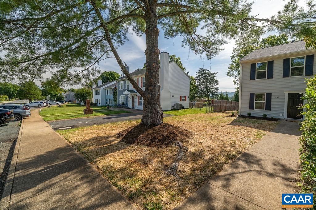 2087 Commonwealth Drive Charlottesville, VA 22901 - Photo 44 of 44 a view of a yard with plants and a tree