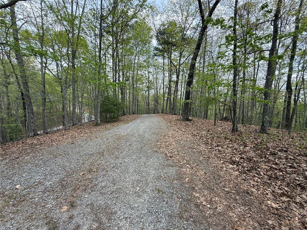 175 Antler Way Morganton, GA 30560 - Photo 6 of 6