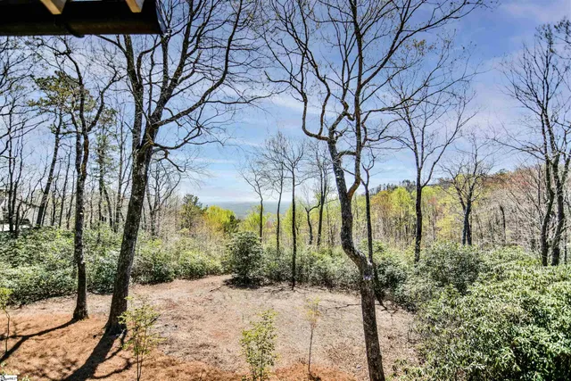 $925,000 | 126 Columbine Way, Cleveland, SC 29635