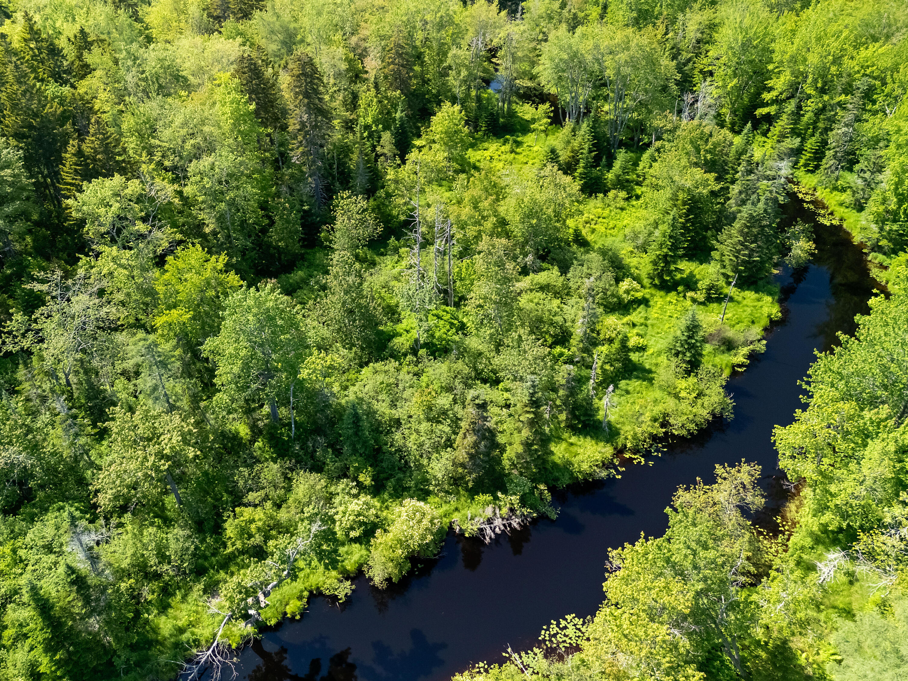 12 Burns Drive Friendship, ME 04547 - Photo 51 of 55 DJI_20250621153318_0255_D
