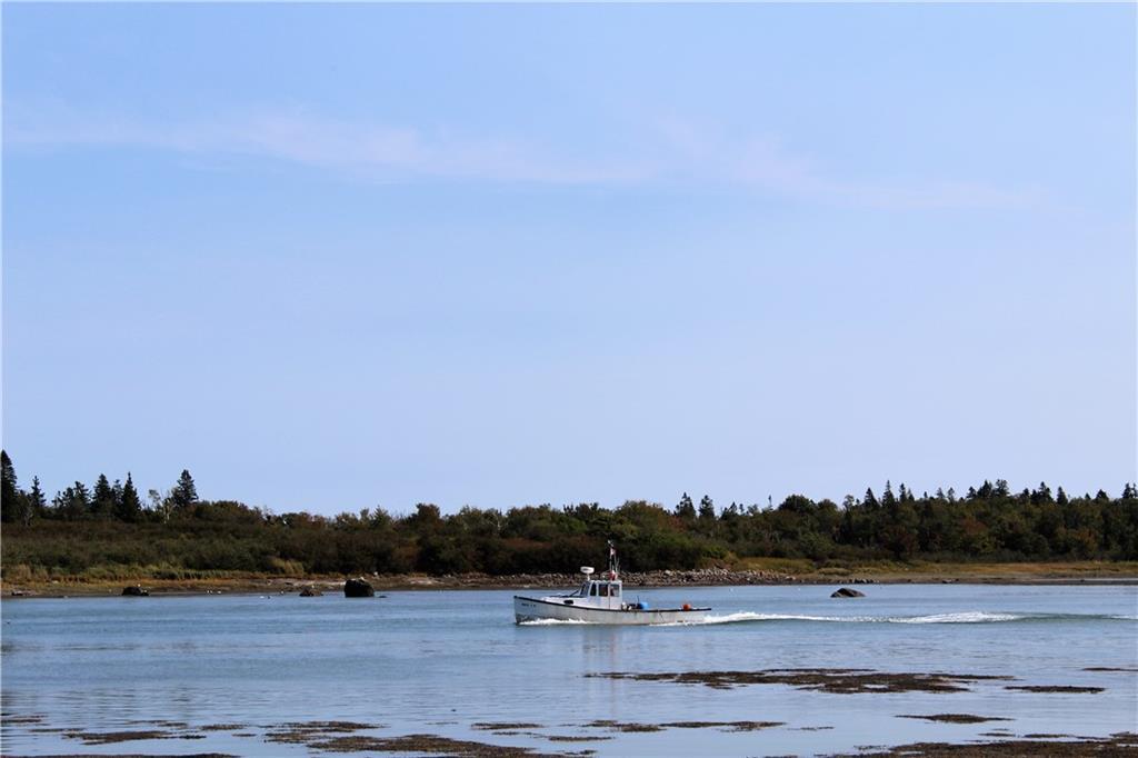 0 Salt Breeze Way Addison, ME 04606 - Photo 14 of 20 Returning home to the mooring by the...