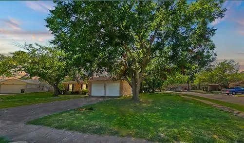 a big yard with large trees