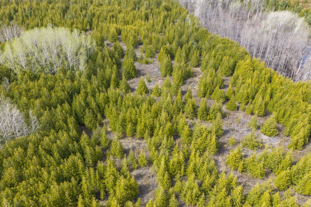 Lot 2 Hill Road Sister Bay, WI 54234 - Photo 25 of 35