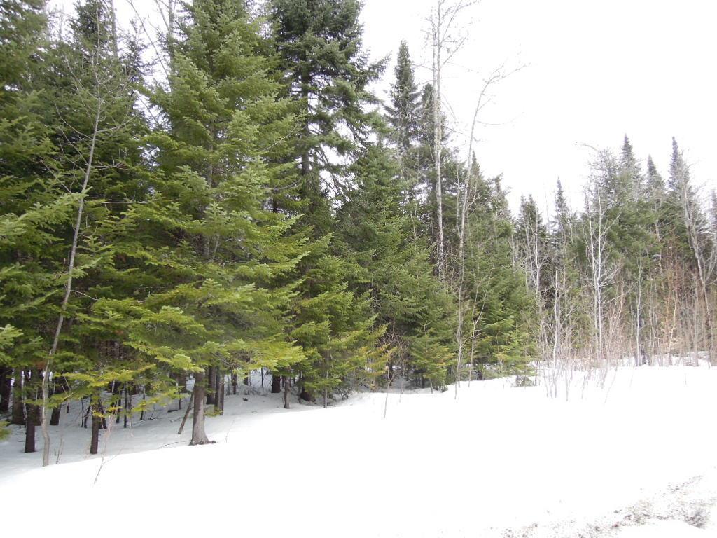 Lot 18 Fox Run Road Mapleton, ME 04757 - Photo 3 of 5 Photo