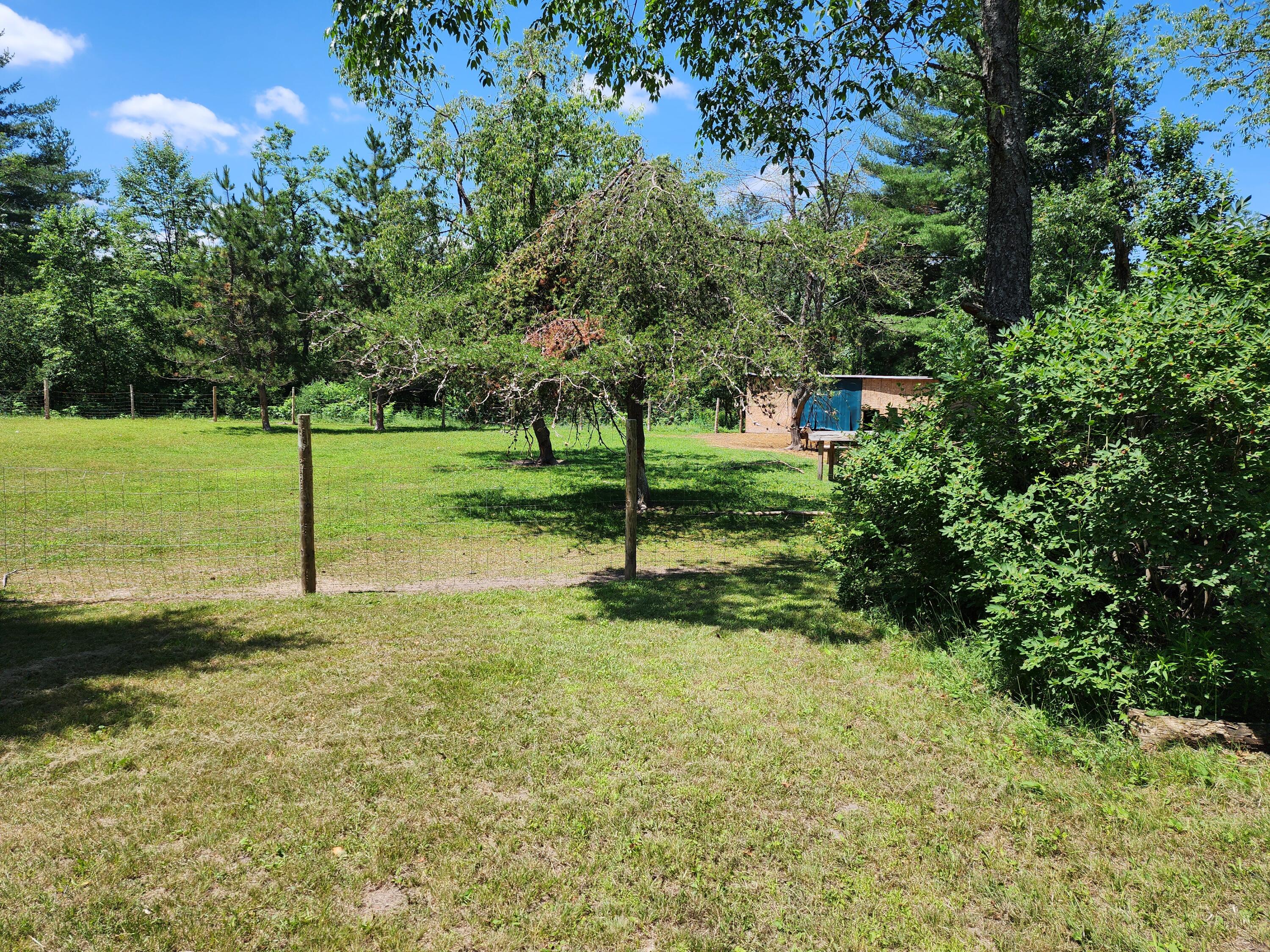 10465 Mason Road Onaway, MI 49765 - Photo 11 of 16 20250708_131947