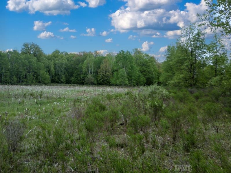 58-acres Northeast County Line Road Coleman, MI 48618 - Photo 21 of 45